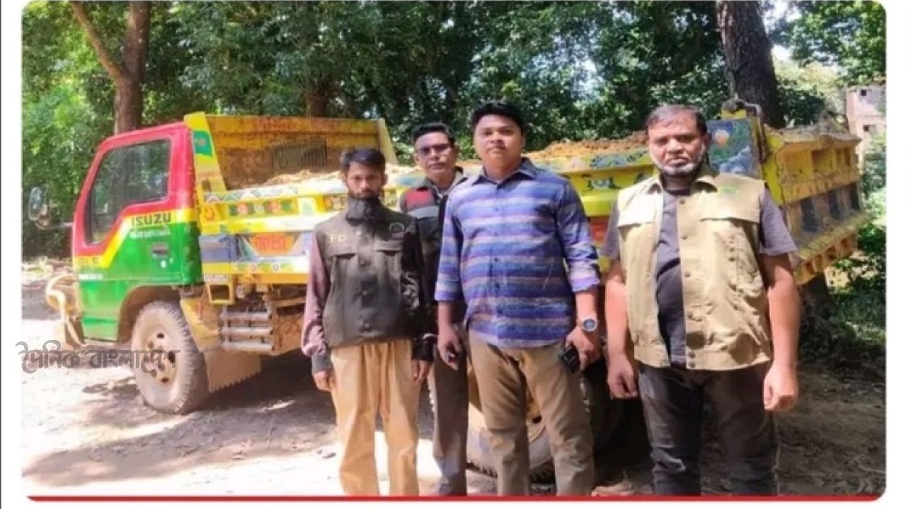 টংকাবতীতে প্রকৃতির বিনাশ: প্রভাবের দাপট ভেঙে দিয়েছে বন বিভাগ 