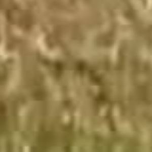 মোহাম্মদ সোহাগ